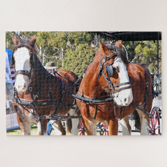 Clydesdale horses harnessed to pull the carriage jigsaw puzzle (Horizontal)