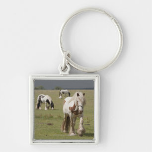 Clydesdale horses in a field, Northumberland, Keychain
