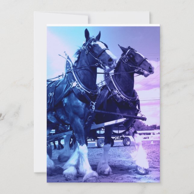 Clydesdale Horses Invitation (Front)