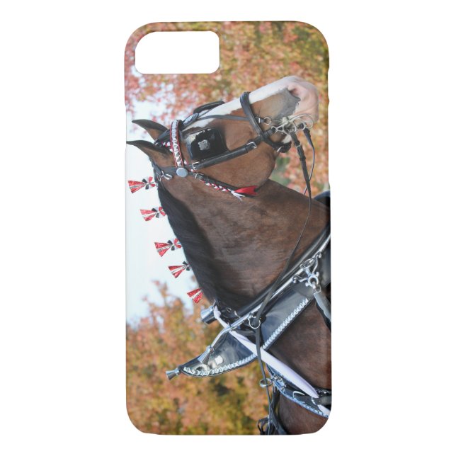 Clydesdale iPhone iPad case (Back)