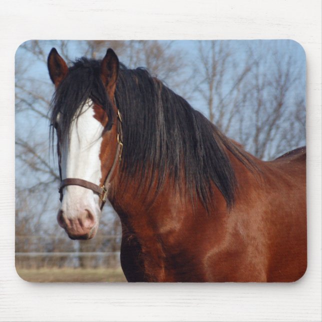 Clydesdale mousepad (Front)