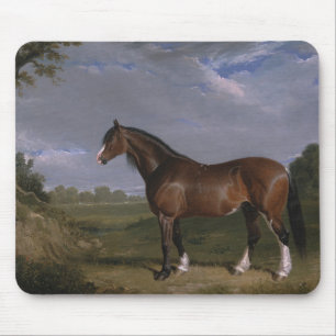Clydesdale Stallion (Thoroughbred Horse) (Animal) Mouse Pad