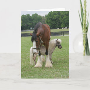 Clydesdale Standing over Miniature Pony Card