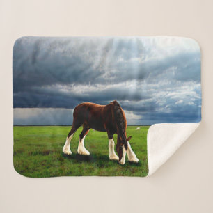 Clydesdale Storm Sherpa Blanket