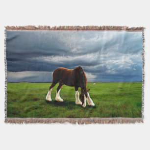 Clydesdale Storm Throw Blanket