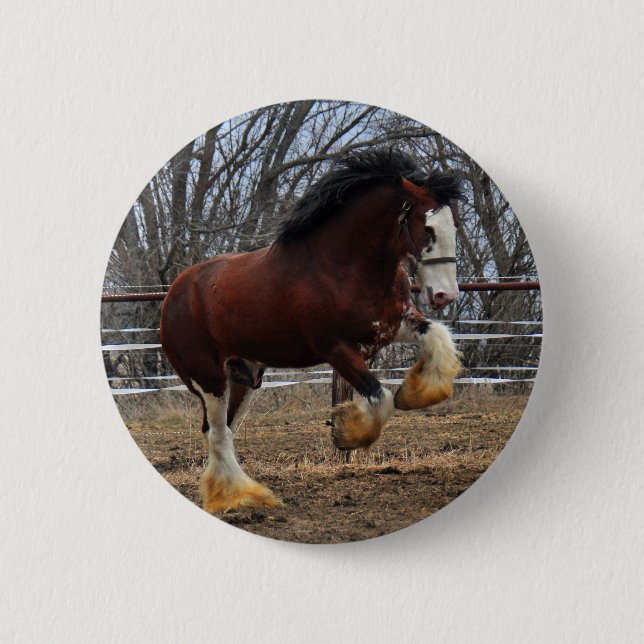 Clydesdale stud colt running 2 inch round button (Front)