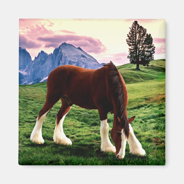 Clydesdale Sunset Magnet (Front)