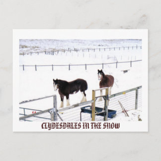 CLYDESDALES IN THE SNOW POSTCARD