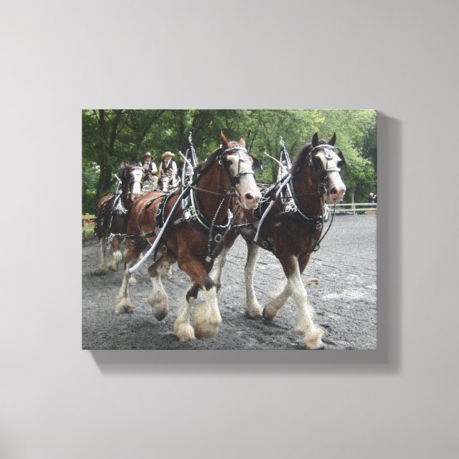 Clydesdales Pulling Carriage Canvas Print (Front)