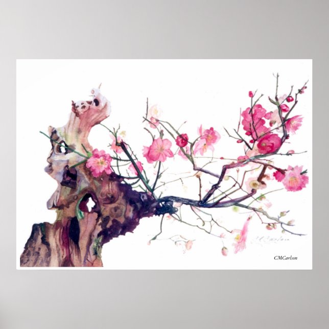 CMCarlson Cherry Blossom Poster (Front)