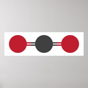 CO2 Molecular Structure Poster