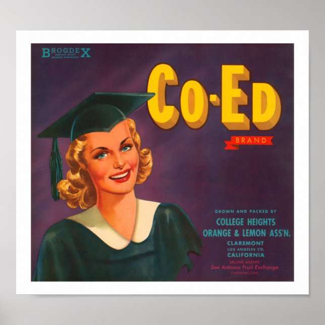 Co-Ed Brand Citrus Label Poster (Front)