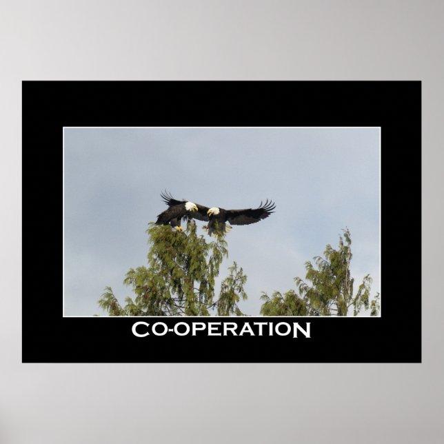 CO-OPERATION Bald Eagles Photo Poster (Front)