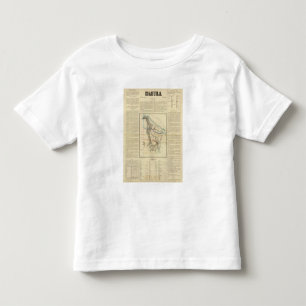 Coahuila, Mexico 2 Toddler T-shirt