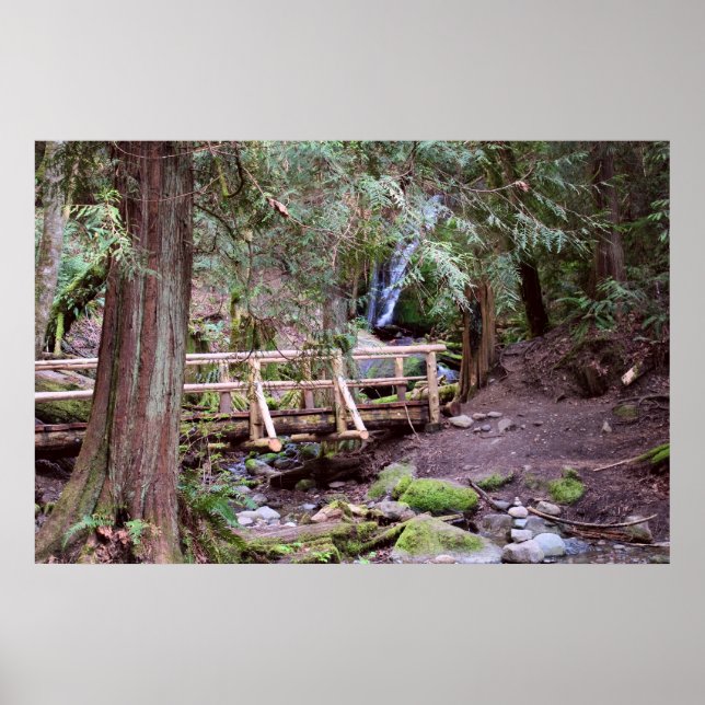 Coal Creek Falls Walking Bridge Print (Front)