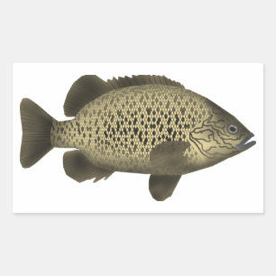 Coal Grunter Sticker