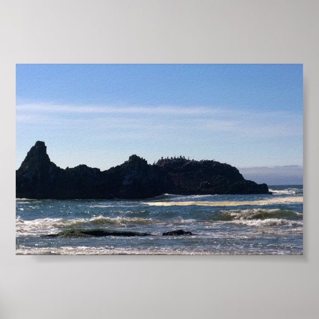 Coast at Seal Rock OR Poster (Front)