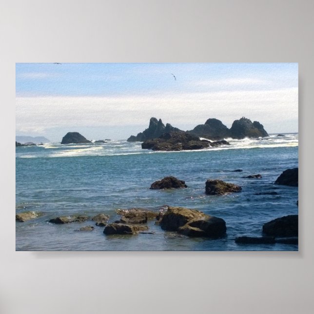 Coast at Seal Rock OR Poster (Front)