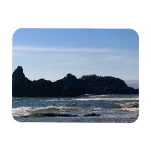 Coast at Seal Rock, Oregon Magnet