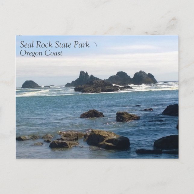 Coast at Seal Rock Oregon Postcard (Front)