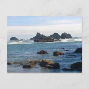Coast at Seal Rock Oregon Postcard