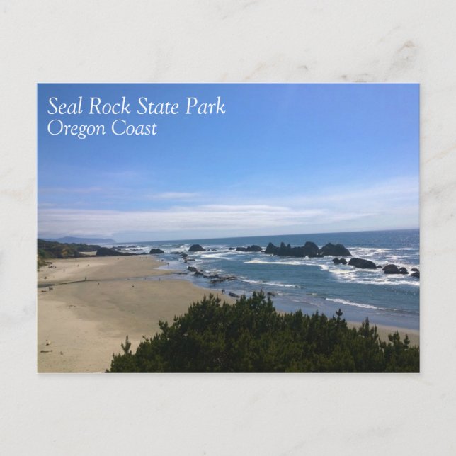 Coast at Seal Rock, Oregon Postcard (Front)