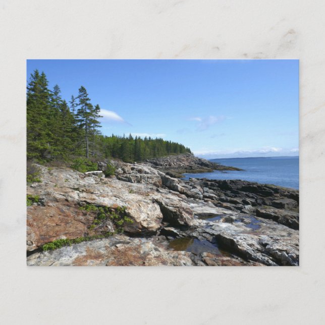 Coast of Bar Island at Acadia National Park Postcard (Front)