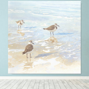 Coastal Art Sandpipers on Beach  Canvas Print