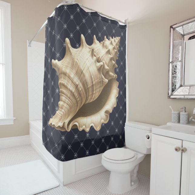 Coastal/beach/nautical seashell  (In Situ)