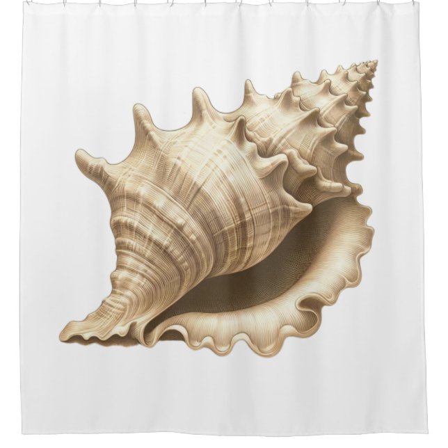 Coastal/beach/nautical seashell  (Front)