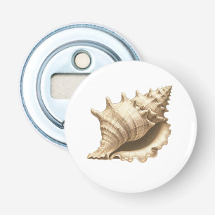 Coastal/beach/nautical seashell bottle opener