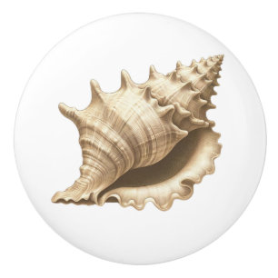 Coastal/beach/nautical seashell ceramic knob