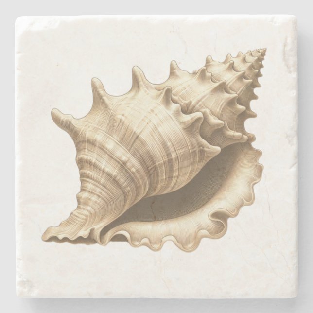 Coastal/beach/nautical seashell  stone coaster (Front)