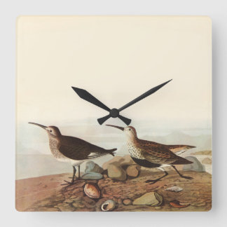 Coastal Birds Clock