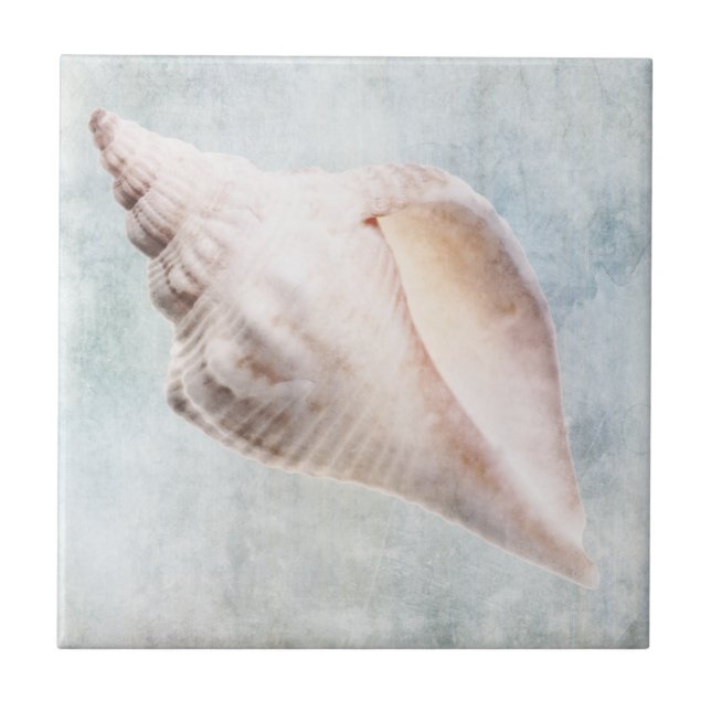 Coastal Blue and Peach Cream Distressed Shell Tile (Front)