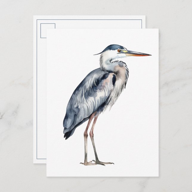 Coastal Blue Heron Bird Postcard (Front/Back)