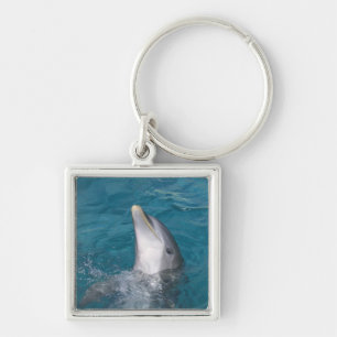 Coastal Bottlenose Dolphin Keychain