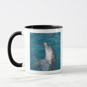 Coastal Bottlenose Dolphin Mug