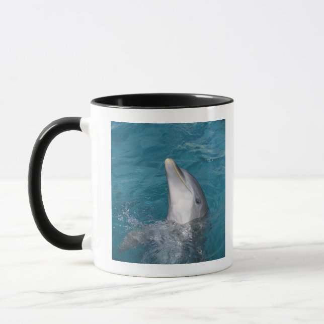 Coastal Bottlenose Dolphin Mug (Left)