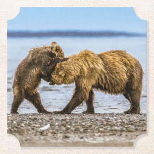 Coastal brown bears paper coaster