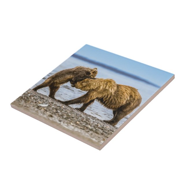 Coastal brown bears tile (Side)