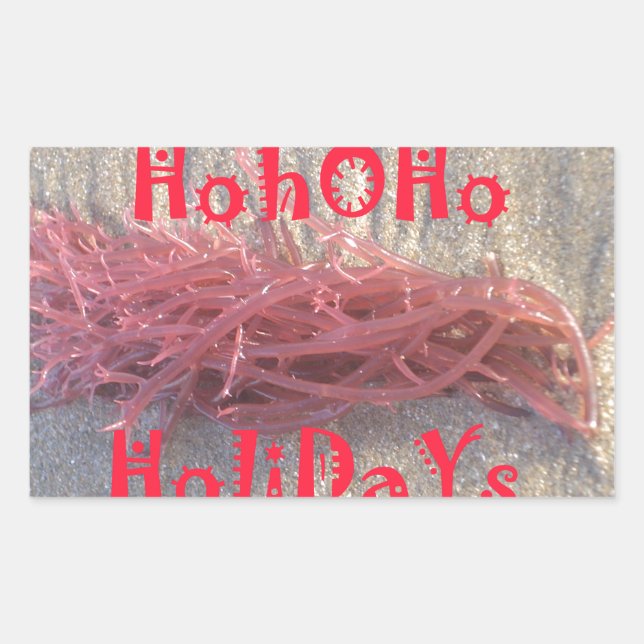Coastal Christmas: Seaweed on Ash Gray Sand Festiv Sticker (Front)