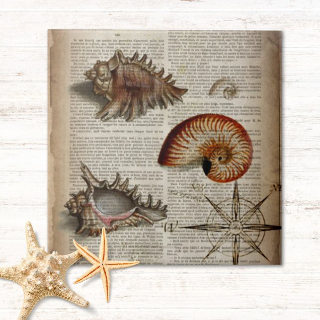 coastal conch vintage seashell botanical print tile (coastal conch vintage seashell botanical print tile)