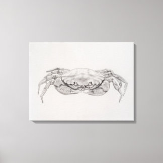 Coastal Crab Drawing Canvas Print