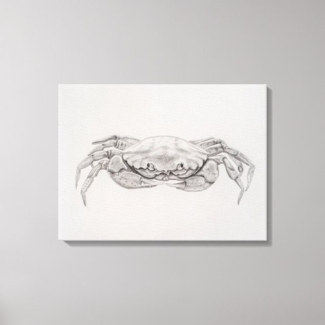 Coastal Crab Drawing Canvas Print (Front)