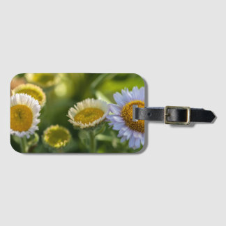 Coastal Daisies Blooming Luggage Tag