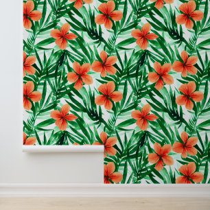 Coastal flower Hawaiian hibiscus blossom tropical Wallpaper