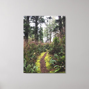 Coastal Forest Loop Trail, Cape Disappointment, WA Canvas Print