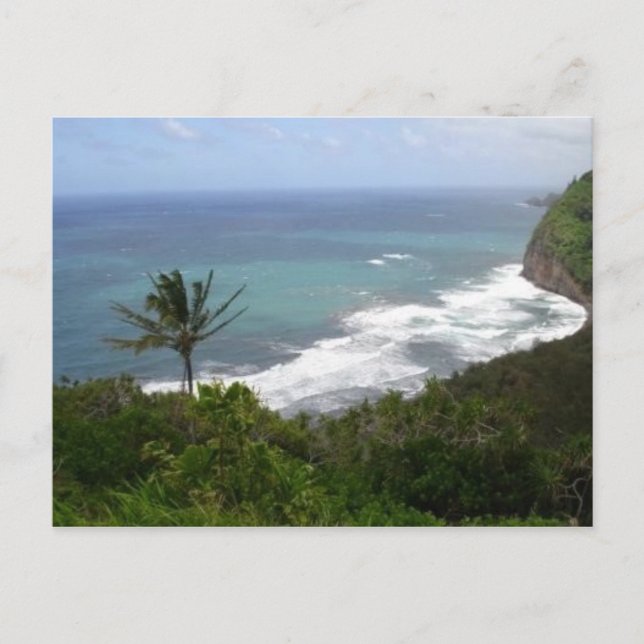 Coastal Hawaii Postcard (Front)