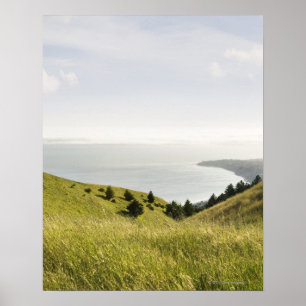 Coastal hills, Bolinas Ridge, California Poster